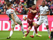 Lewandowski traf bei souveränem Bayern-Sieg gegen Hoffenheim