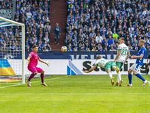 Werder siegt klar auf Schalke