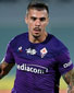 Volume 0432, 2013–14 ACF Fiorentina season --- 2013–14 Bristol City F.C.  season