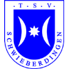TSV Schwieberdingen
