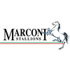 Marconi Stallions [Women]