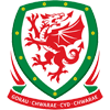 Gales [Sub 19]