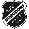 1. FC Burgdorf