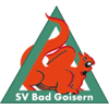 SV Bad Goisern