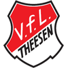 VfL Theesen [Youth]