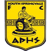 South Springvale FC