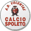 Voluntas Spoleto