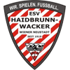 ESV Haidbrunn Wacker Wiener Neustadt