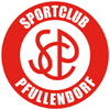 SC Pfullendorf [Youth]