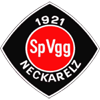 SpVgg Neckarelz [Youth]