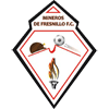 Mineros de Fresnillo FC