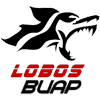 Lobos BUAP 3a División [Sub 20]