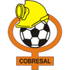 Cobresal [U20]