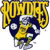 Tampa Bay Rowdies (old)