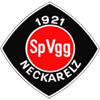 SpVgg Neckarelz [Youth C]