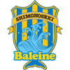 FC Baleine Shimonoseki