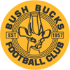 Bush Bucks FC » Record against Santos FC