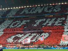 Champions League » News - Seite 5 Urn-newsml-dpa-com-20090101-140410-99-02562_large_4_3