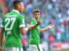 Franco Di Santo braucht keine neuen Mitspieler
