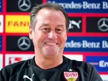 Huub Stevens glaubt, dass der VfB gegen Freiburg gute Chancen hat. Foto: Sebastian Kahnert