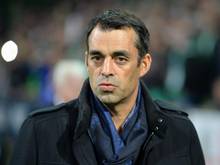 Robin Dutt sieht genügend Qualität im VfB-Kader.