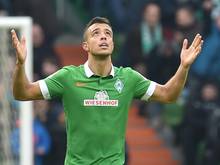 Werder Bremens Stürmer Franco Di Santo ist wieder ins Training eingestiegen