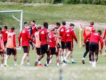 Der HSV bereitet sich in Malente auf das Spiel gegen den FC Schalke 04 vor