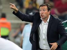 Marc Wilmots wird wohl nicht Trainer des FC Schalke 04