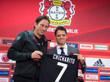 "Chicharito" erhält in Leverkusen die Rückennummer 7