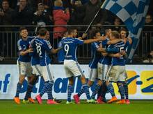 Schalkes Joel Matip (l.) bejubelt mit seinen Mitspielern das Tor zum 1:0