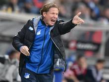 Markus Gisdol kassiert mit der TSG Hoffenheim gegen den Hamburger SV die nächste Pleite.