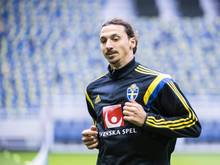Zlatan Ibrahimovic will unbedingt zur EM