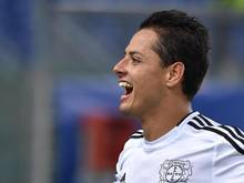 Leverkusen kann sich derzeit auf Javier Hernandez verlassen