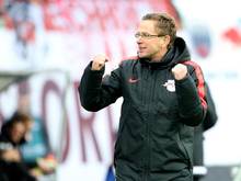Cheftrainer Ralf Rangnick geht beim RB Leipzig mit viel Elan zur Sache. Foto: Jan Woitas