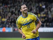 Zlatan Ibrahimović ist der absolute Superstar des schwedischen Fußballs