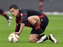 Leverkusens Javier Hernández fällt mit Wadenproblemen aus