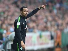 Alexander Nouri steht beim Pokalspiel gegen 1899 Hoffenheim unter Druck