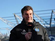 Der Hamburger Trainer Dieter Hecking im Fernsehinterview