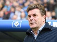 HSV-Coach Dieter Hecking dürfte sein Team zum Training schicken