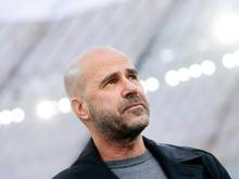 Ist der Meinung, "dass wir Fußball für die Fans spielen": Trainer Peter Bosz von Bayer Leverkusen