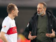Matarazzo lässt Holger Badstuber (l) beim VfB Stuttgart noch eine Hintertür offen