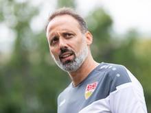 Will keinen festen Vertreter für Kapitän Gonzalo Castro bestimmen: VfB-Trainer Pellegrino Matarazzo