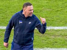Hertha-Trainer Pal Dardai möchte, dass seine Spieler Energie auf dem Platz versprühen