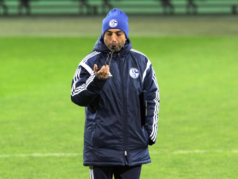 Die Bilanz von Trainer Roberto Di Matteo auf Schalke kann sich sehen lassen. Foto: Caroline Seidel