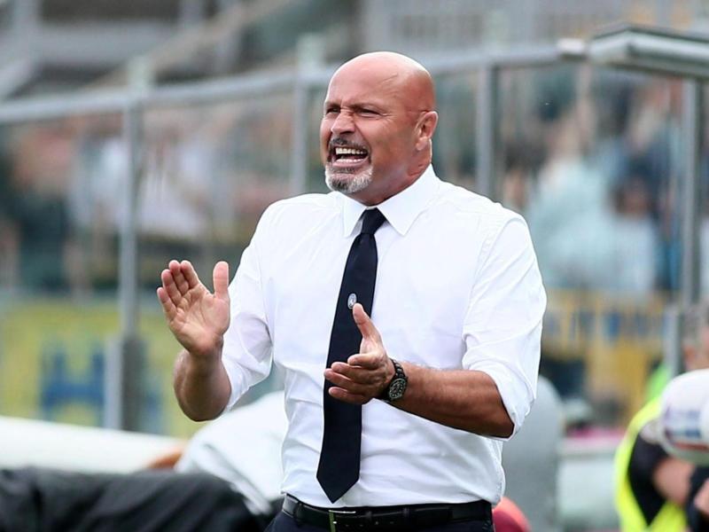 Stefano Colantuono wird neuer Trainer bei Udinese Calcio