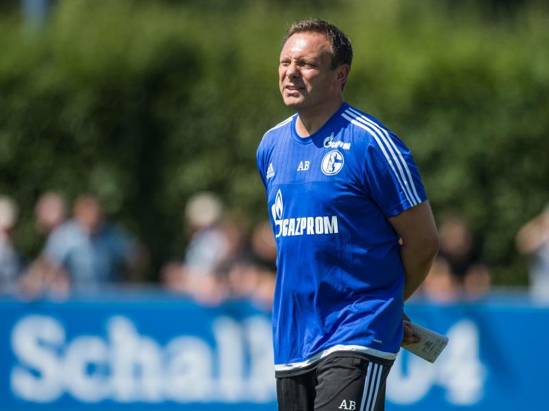 Schalke-Coach André Breitenreiter würde gerne noch drei neue Spieler einkaufen. Foto: Bernd Thissen