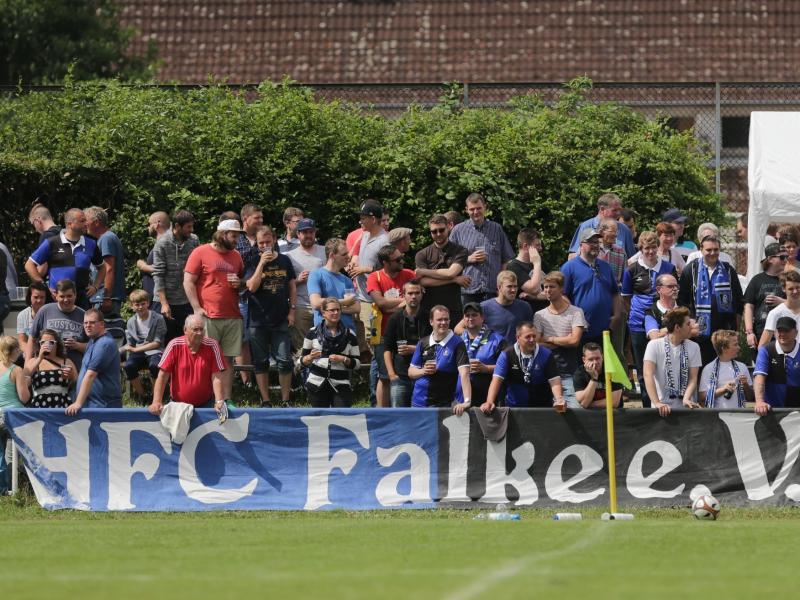Der HFC Falke will enttäuschten HSV-Fans eine neue Heimat bieten