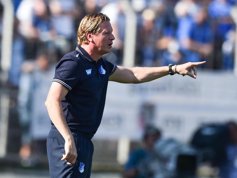 Hoffenheims Trainer Markus Gisdol lobte die Atmosphäre in Darmstadt und die Spielweise des Gegners