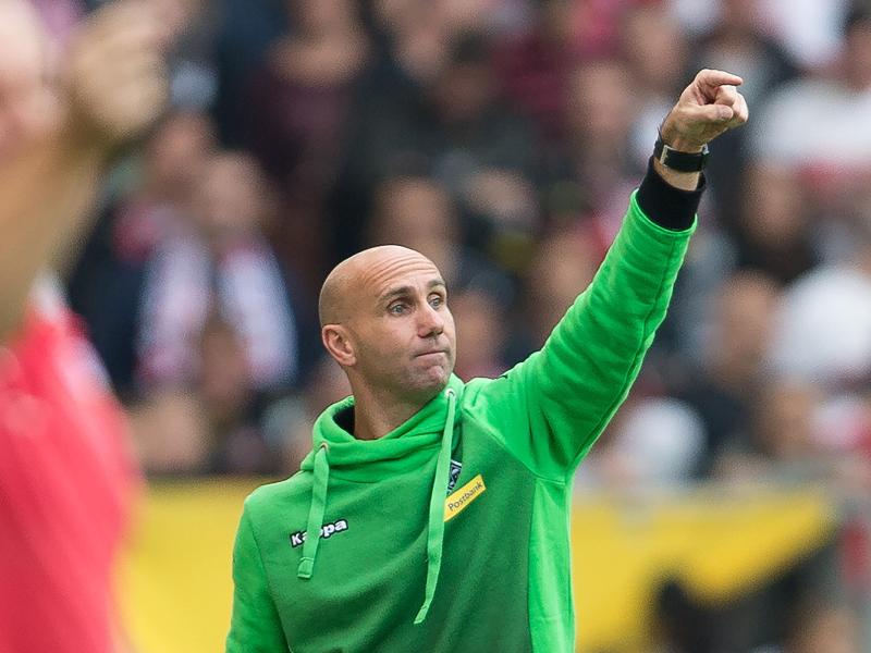 Andre Schubert hat Gladbach zurück in die Spur gebracht Andre Schubert hat Gladbach zurück in die Spur gebracht