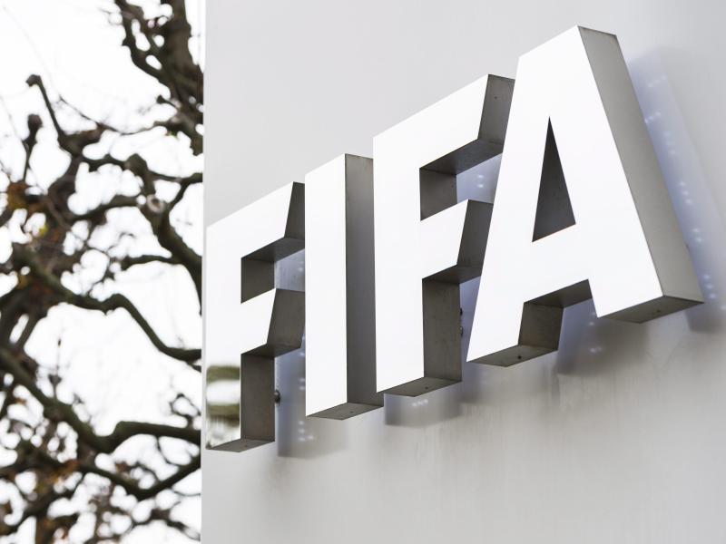 Am 26. Februar wird ein neuer FIFA-Präsident gewählt